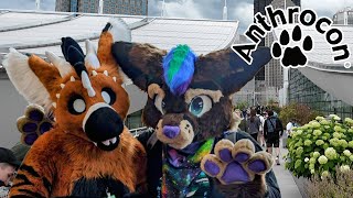 Anthrocon 2024 Con Video Anthrocoaster [upl. by Mozelle]