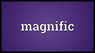 Magnific Meaning [upl. by Yim]