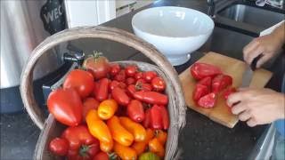 hoe passata  of tomatensaus zelf maken [upl. by Nosauq415]