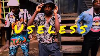 Useless  Ruger ft Speardancerz Official Dance Video [upl. by Haleeuqa]