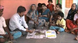 Seed treatment with trichoderma Kannada BAIF Karnataka [upl. by Inat]