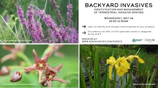 Backyard Invasives Identification and Management of Terrestrial Invasive Species May 2023 [upl. by Mandie]