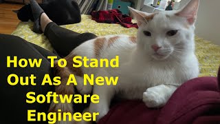 What Makes A New Software Engineer Hireable [upl. by Nahtnaoj]