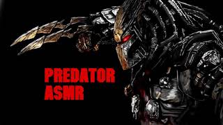 Predator ASMR 10 Min Click Sound Effect Yautja [upl. by Dorine]