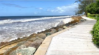 Barbados  Rockley beach boardwalk walk [upl. by Poppas441]