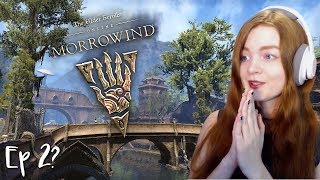 FINALLY Visiting Balmora  Elder Scrolls Online Morrowind  Part 2 [upl. by Shiau19]