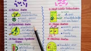 ExotoxinsBacteria exotoxinsExotoxins examples [upl. by Yddur]