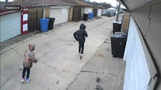 Chicago woman furious as her surveillance cameras keep getting destroyed [upl. by Devonna]