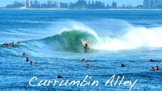 It Will Make You Froth  Currumbin Alley [upl. by Talyah]