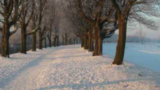 The Carpenters Walking in a Winter Wonderland [upl. by Donnamarie]