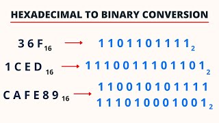 Hexadecimal to Binary Conversion  PingPoint [upl. by Ahsinek]