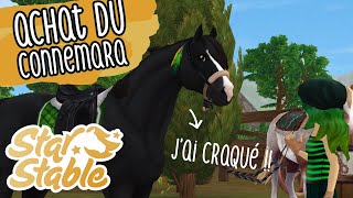 Le connemara un grand poney plein dallure  Star Stable Online ❤ [upl. by Ylenaj]