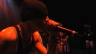 Crawling Live Video Version  Linkin Park [upl. by Lennie462]