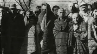 Inside Auschwitz Holocausts horrific impact [upl. by Marlane]