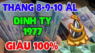 Tử Vi Tháng 8 9 10 Âm Lịch Tuổi Đinh Tỵ 1977 Mẹ Quan Âm Độ Mạng Liên Tiếp Trúng Lớn GIÀU NỨT VÁCH [upl. by Mercola47]