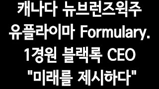 캐나다 뉴브런즈윅주 유플라이마 Formulary1경원블랙록CEOquot미래를 제시하다quot수백배폭등은quot4차산업quot [upl. by Eelloh]