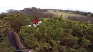 Equestrian Foxhunting in Ireland 2014 Full length Version [upl. by Aleyak55]