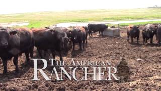 American Rancher  American Simmental Association [upl. by Andaira]