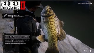 PEGUEI O PEIXE LENDÁRIO do LAGO OWANJILA no RED DEAD REDEMPTION 2 [upl. by Esital181]