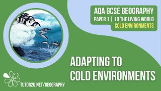 Adapting to Cold Environments  AQA GCSE Geography  Cold Environments 2 [upl. by Reyem799]