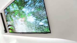 LG 55 inch OLED TV  Which first look from IFA 2012 [upl. by Edlun]