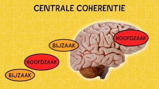 Autisme Wat is Centrale coherentie [upl. by Anilemrac356]