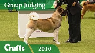 Akita Wins Utility Group Judging at Crufts 2010  Crufts Dog Show [upl. by O'Meara313]