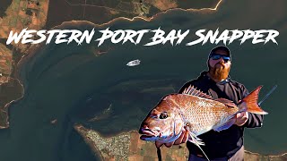 Western Port Bay Snapper  Western Port Rig Vs Paternoster  Which one caught more snapper [upl. by Zaob854]