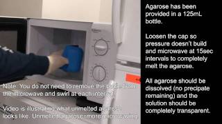 Agarose Gel Preparation [upl. by Rafaelof]