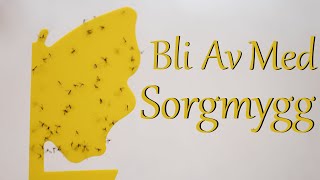 Så blir du av med Sorgmygg [upl. by Htebazle]