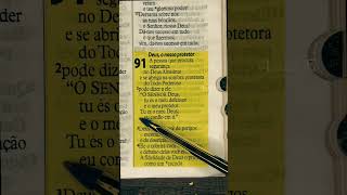 Salmo 91 Completo  Leitura Poderosa em 1 Minuto  Proteção Divina de Deus leiturabiblia [upl. by Eneryc]