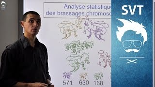 SVT Terminale  Exercice de type BAC  Le Brassage chromosomique [upl. by Quincy]