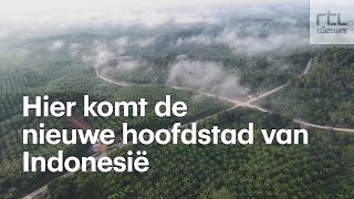 Vaarwel oud regenwoud hier komt de nieuwe hoofdstad van Indonesië [upl. by Acassej]