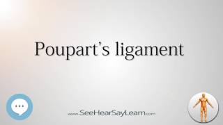 Pouparts ligament Anatomy Named After People 🔊 [upl. by Sessilu167]