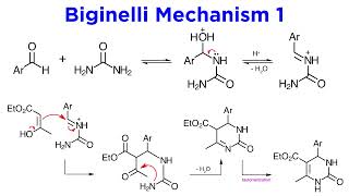 Biginelli Reaction [upl. by Htebazie361]