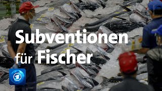 Verhandlungen über weniger Subventionen für Fischer [upl. by Airret854]