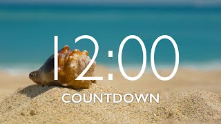12 Minute Timer with Music and Alarm 🎵⏰ [upl. by Edmunda]
