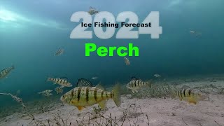 2024 Ice Fishing Forecast Perch [upl. by Wanfried743]