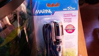 Unboxing Marina Mini 50 Watt Aquarium Heater [upl. by Kallista]