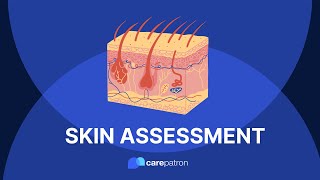 Skin Assessment [upl. by Tova367]