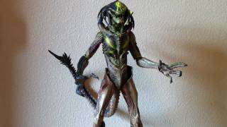 Hot Toys Predalien Battle damaged Exclusive Review [upl. by Attenrad689]