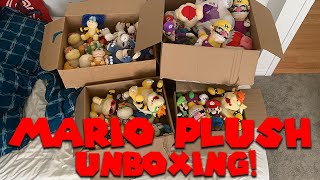 Unboxing My Entire Mario Plush Collection  Super Mario Richie [upl. by Ynatsed]