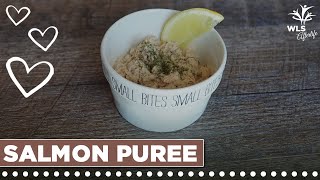 Lemon Dill Salmon Puree Bariatric Friendly Recipe [upl. by Waller]