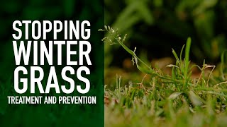 How Do I Stop Pesky Winter Grass  Treatment amp Prevention of Poa annua Winter Grass in Your Lawn [upl. by Friedrick]