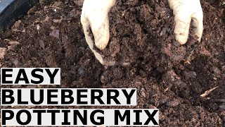 Easy Blueberry Potting Mix Recipe Without Expensive Shipped In Ingredients [upl. by Trella]