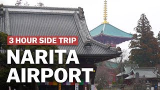 3 Hour Side Trip from Narita Airport Naritasan Shinshoji Temple  japanguidecom [upl. by Tayler]