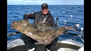 Angeln in Norwegen Seter Brygge – Die Großfischperle in Mittelnorwegen [upl. by Nolyaj]