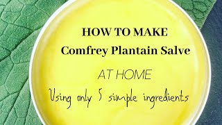 How to Make Comfrey Plantain Salve at Home with 5 simple ingredients Amazing Healing Salve [upl. by Helman308]