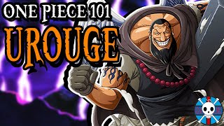 Urouge Explained  One Piece 101  Grand Line Review [upl. by Eimmas398]