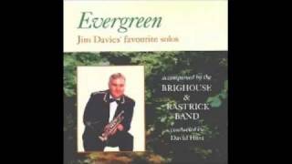 Jim Davies  Evergreen [upl. by Nnyltiac]